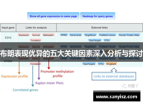 布朗表现优异的五大关键因素深入分析与探讨 布朗表现优异的五大关键因素深入分析与探讨