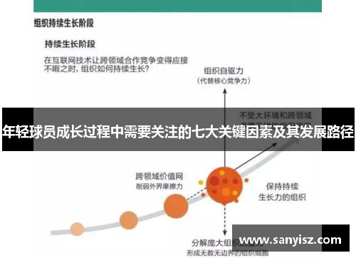 年轻球员成长过程中需要关注的七大关键因素及其发展路径 年轻球员成长过程中需要关注的七大关键因素及其发展路径